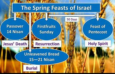 The Journey Continues….